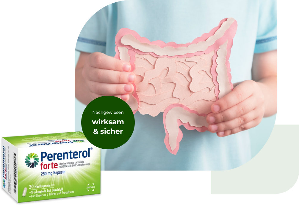 Eine Perenterol forte Verpackung, mit einer Person, die eine Abbildung des Darms hält, im Hintergrund. Anbei steht der Hinweis, dass Perenterol nachgewiesen wirksam und sicher ist